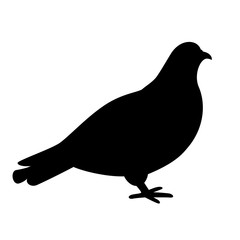 Pigeon silhouette vector icon