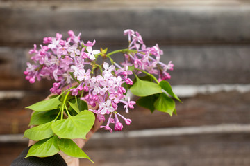 lilac with green leaves on a wooden background