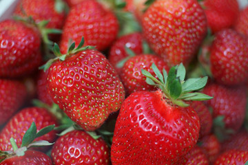 fresh red strawberries close-up