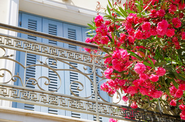 Beautiful traditional facade of Greek houses in small and narrow alley or street in Athens Anafiotika area with blue or turquoise door and windows and flowers in bloom	