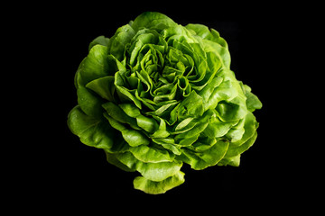 Fototapeta premium Top view of detail of trocadero lettuce on wooden background