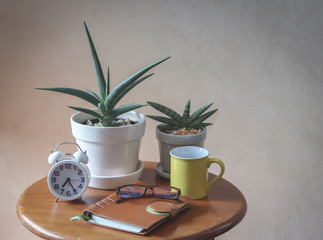 alarm clock with two plant pots of  Sansevieria ,yellow coffee  mug, notebook and eye glasses on wooden table with morning sunlight,morning routine, self isolation, gardening concept.