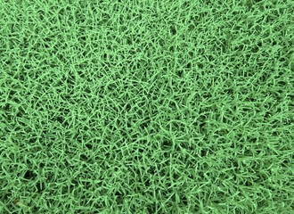background of green plants for flower beds closeup