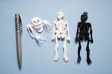 Halloween decoration set: Skeletons, flies, spiders, beetles, skulls on a light blue background.