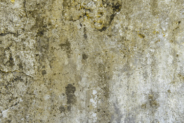 Dirty old concrete wall with some mold