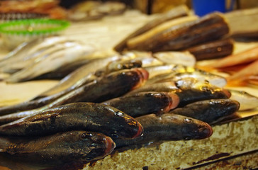 Fresh fish at a market booth in a bazaar in Beirut, Lebanon