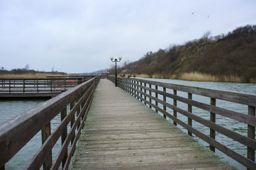 Obraz premium Wooden boardwalk through the reeds in the sunlight. A wooden plank promenade with lampposts.