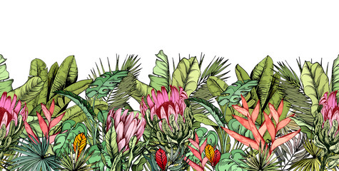 Endless horizontal banner with tropical leaves, exotic heliconia and protea flowers.