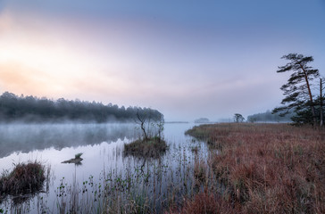 Fototapeta premium morning mist over the lake