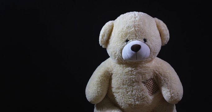A lively toy bear looking at the camera and nodding hid head in agreement like saying yes on a black studio background with dramatic light and free space for inscription.