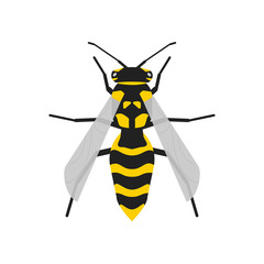 Vector wasp realistic illustration in flat. Bee isolated concept.