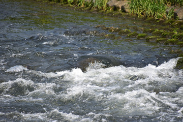 小川(Stream)