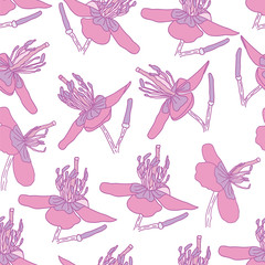 Pink Floral Seamless Pattern on White Background