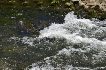 小川(Stream)