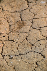 Schönhagen Ostsee Steilküste Mai 2020