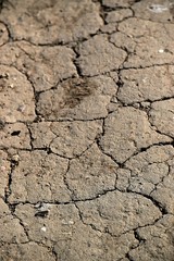Schönhagen Ostsee Steilküste Mai 2020