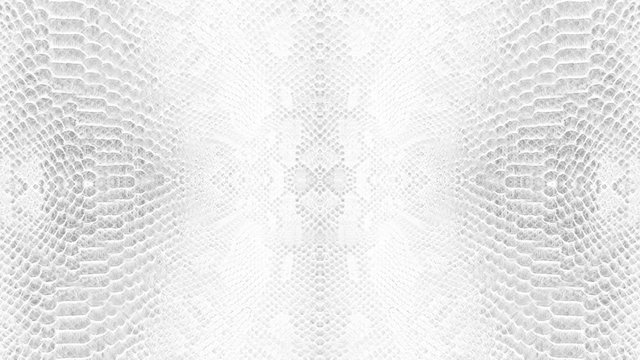 abstract parallax background texture of white snake skin python pattern stylish fashion animation