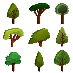 Fototapeta premium vector, isolated, trees set 3d