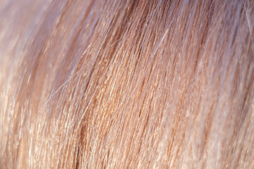 light beige long female hair