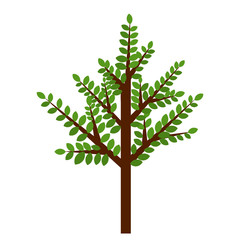 vector, isolated, flat style green tree