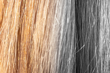 light beige long female hair