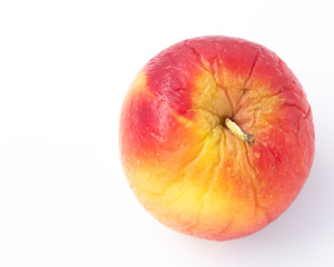 Flat lay of Rotten New Zealand apple on white background