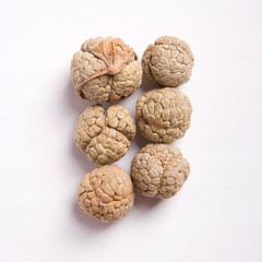 Traditional Chinese Medicine—Alpinia katsumadai Hayata