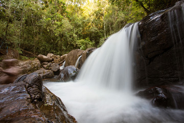 small waterfall in the forest