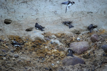 Sch&ouml;nhagen Ostsee Steilk&uuml;ste Mai 2020