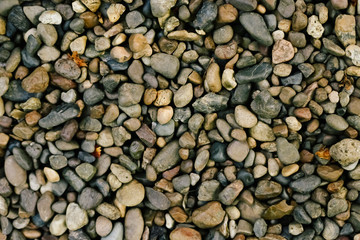 Various pebble stones for background in top view.