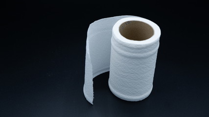 toilet paper roll