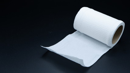 toilet paper roll 