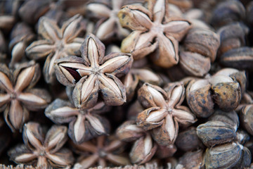 Sacha inchi seeds in market.