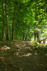 A circular hiking trail around the Amts lake in UNESCO-Biosphere reserve Schorfheide-Chorin (on Chorin monastery), in federal state Brandenburg - Germany