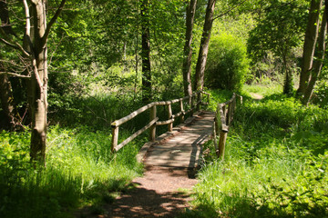 A circular hiking trail around the Amts lake in UNESCO-Biosphere reserve Schorfheide-Chorin (around...