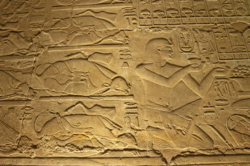 Hieroglyphic carvings on an ancient egyptian temple wall at night