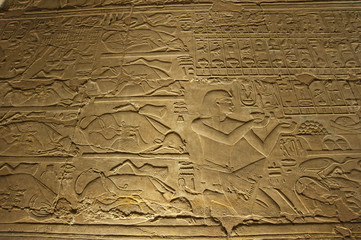 Hieroglyphic carvings on an ancient egyptian temple wall at night