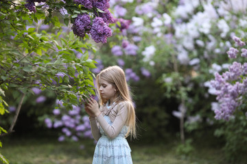 Beautiful young girl looking to the lilac flowers ih the spring garden. Blond teen girl in a blue dress and beige bolero. Selective focus. - obrazy, fototapety, plakaty