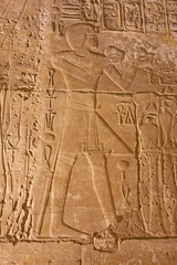 Fototapeta na wymiar Hieroglyphic carvings on an ancient egyptian temple wall at night