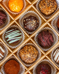Set of milk and dark chocolate truffles with nuts (almonds, hazelnuts, cashews, peanuts, walnuts), berries (raspberries, strawberries, cranberries, black currants) and orange. Round gourmet candies