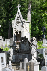 Fototapeta premium Lychakiv Cemetery in Lviv, Ukraine