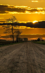 A tree with a sunset in the background. High quality photo