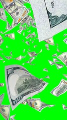 Flying dollars banknotes isolated on chromakey. Money is flying in the air. 100 US banknotes new sample. Vertical orientation. 3D illustration