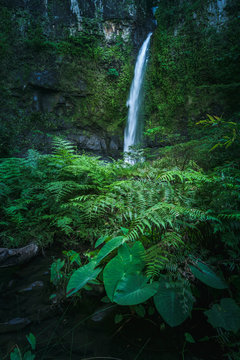 Nandroya Falls At Wooroonooran National Park, Queensland