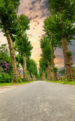 A path with trees on the side of a river. High quality photo