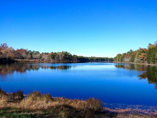Scenic view of Batsto Lake in Batsto village, New Jersey