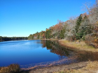 Fototapeta na wymiar Scenic view of Batsto Lake in historic Batsto village, New Jersey