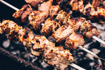 Close up of toasted shashlik on skewers. Succulent barbecue roasting on chargrill. Concept of picnic outdoor.