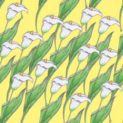 Seamless floral pattern. Hand drawn. Cute calla lilies on yellow background botanical illustration. Design for packaging, fabric, textile, wallpaper, website, greeting cards, printed material.
