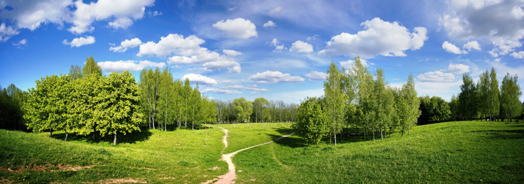 Beautiful bright colorful summer landscape park with green grass field, trees against blue sky with white clouds and winding path on sunny day. Panorama.